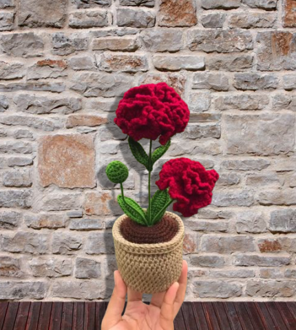 Red flower pot