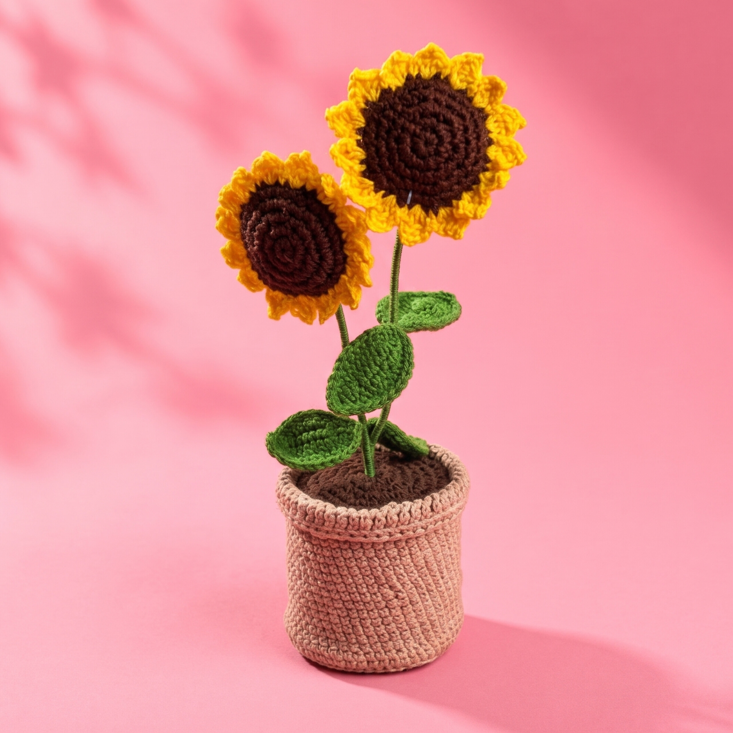 InShot_20260622_124012837